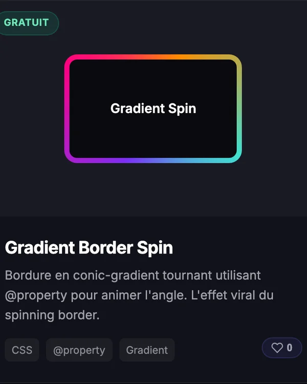 Effet CSS Gradient Border Spin — bordure degrade rotative