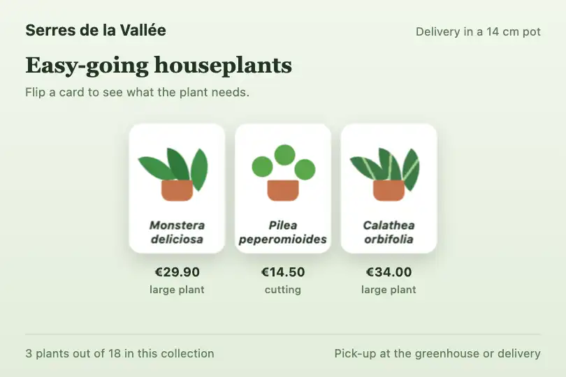 Houseplant: name on the front, needs on the back — page of an online garden center — Card Flip 3D example 3