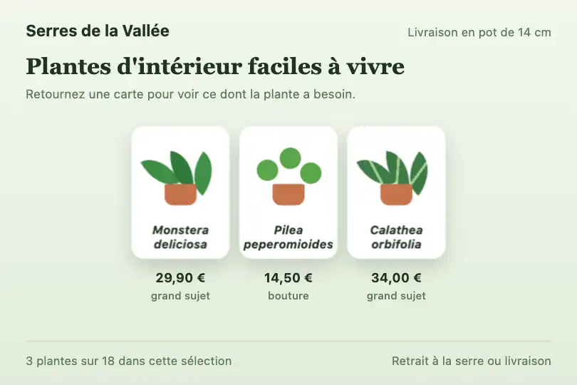 Plante d'intérieur : nom au recto, besoins au verso — fiche d'une jardinerie en ligne — Card Flip 3D exemple 3