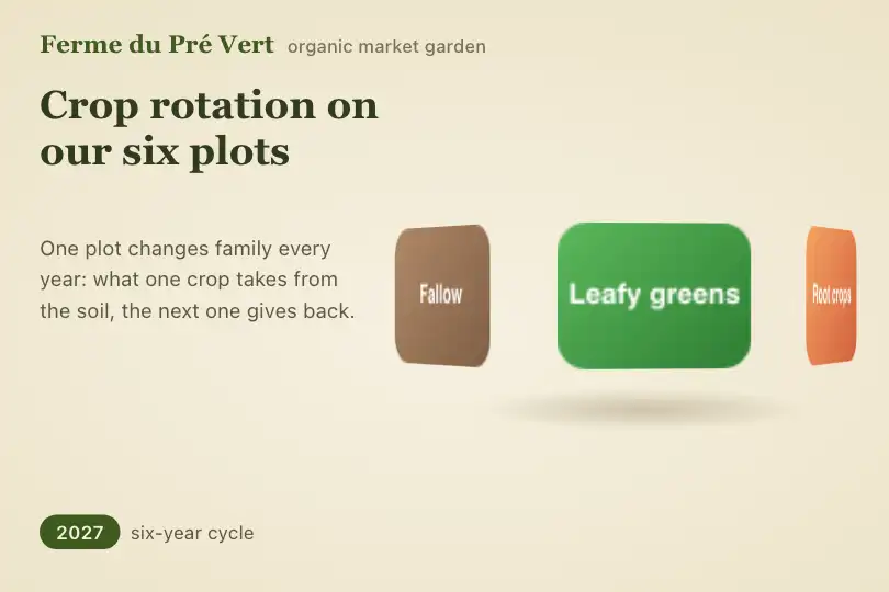 Crop rotation on six plots — teaching page of an organic market garden — 3D Carousel example 2