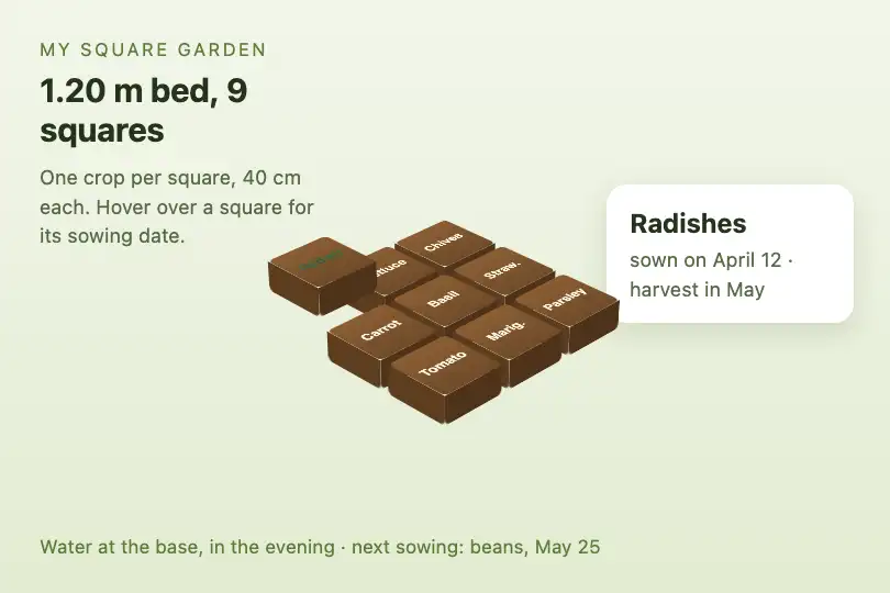 A nine-square garden bed — square-foot gardening app — Isometric Grid example 3