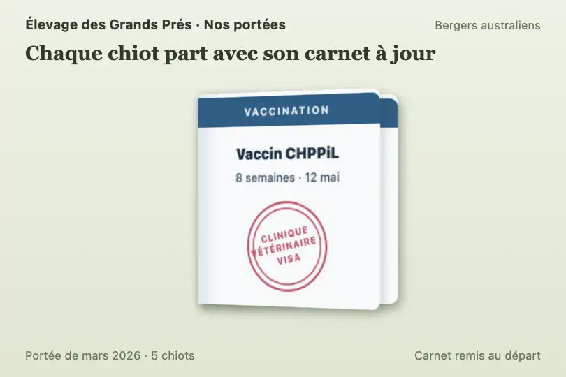 Carnet de santé du chiot feuilleté — page « Nos portées » d'un élevage canin — Page Turn Effect exemple 2