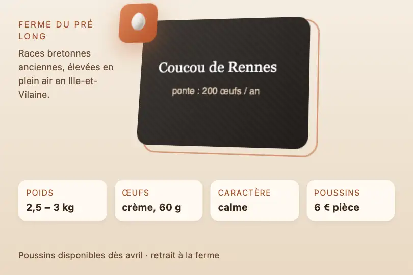 Fiche d'une race de poule — site d'un éleveur de races anciennes — Depth Card exemple 3