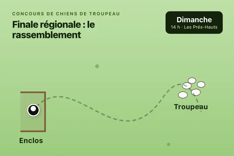 Le chien de berger qui ramène le troupeau — page d'un concours de chiens de troupeau — SVG Path Follow exemple 2