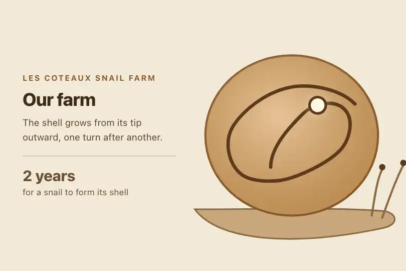 The snail's shell — "Our farm" page of a snail farmer — Spiral Path example 1