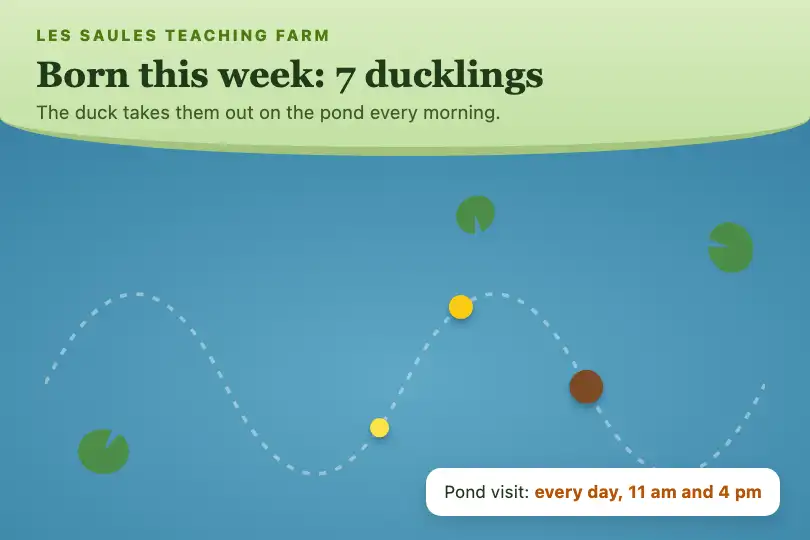 The duck and her ducklings on the pond — teaching farm page — Wave Path example 1