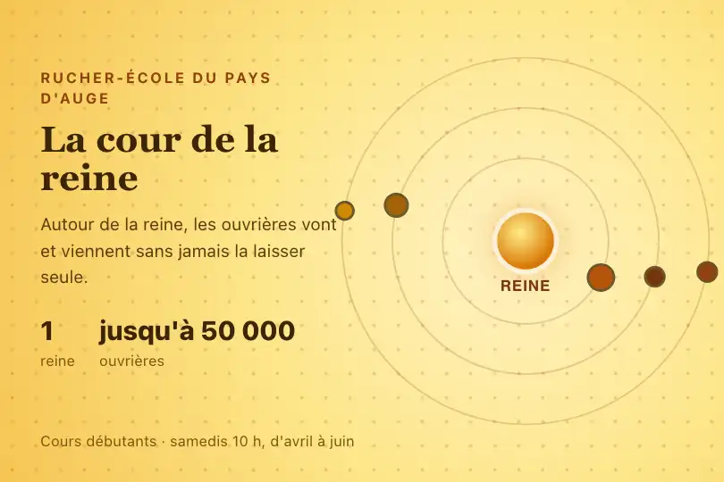 La danse des abeilles autour de la reine — page pédagogique d'un rucher-école — Multi Orbit exemple 3