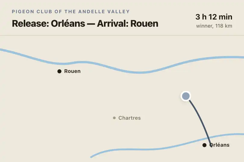 The homing pigeon's flight from the release point — website of a pigeon racing club — Path Drawing example 1