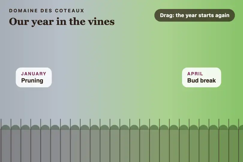 The vineyard's seasons you scroll through — "Our year" page of a wine estate — 360 Viewer example 3
