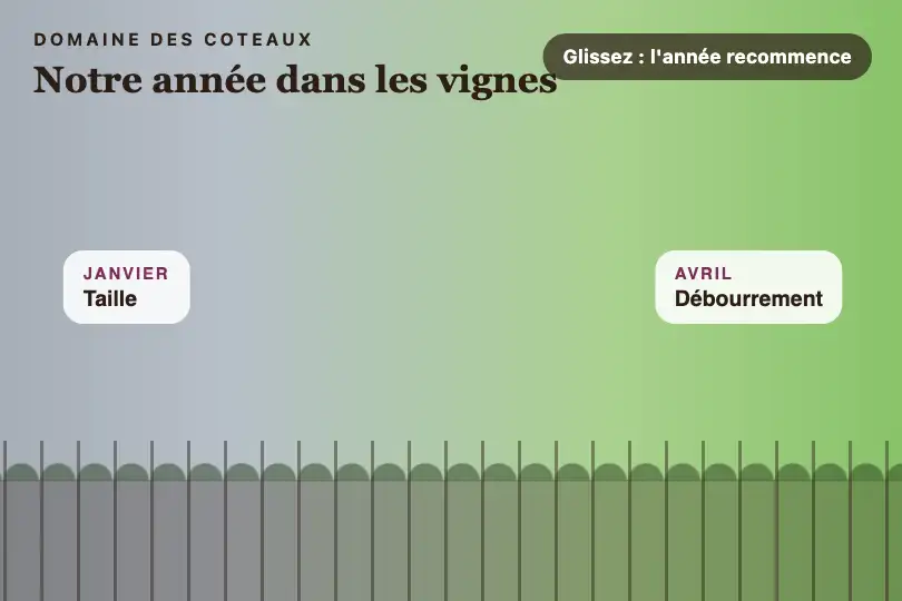 Les saisons du vignoble qu'on fait défiler — page « Notre année » d'un domaine — 360 Viewer exemple 3