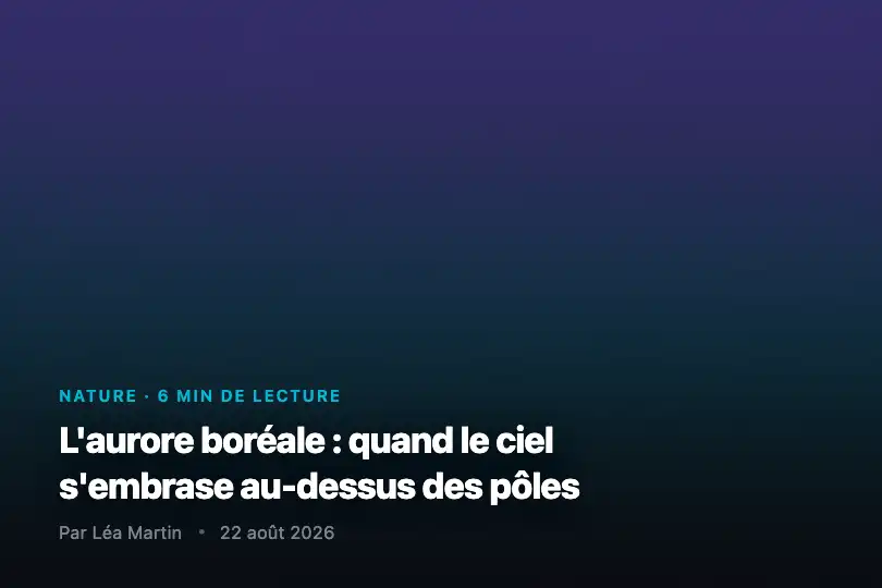 Header d'article — Ouverture long-form sur la nature ou l'astronomie — Aurora Borealis exemple 3