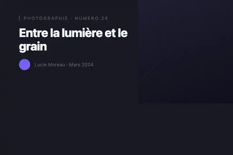 Section portfolio — Esthétique pellicule argentique — Noise Texture exemple 3