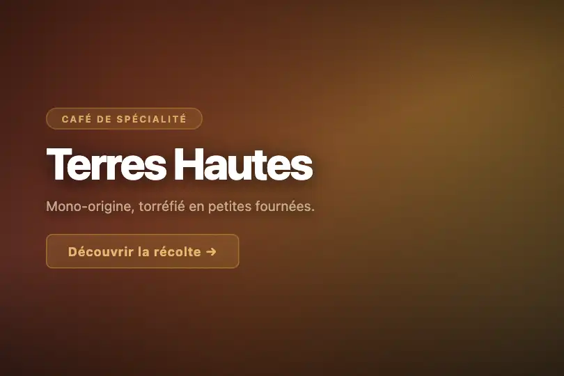 Site de marque artisanale — Hero café de spécialité — Noise Mesh exemple 1