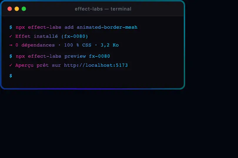 Terminal développeur — Fenêtre de console encadrée — Animated Border Mesh exemple 3