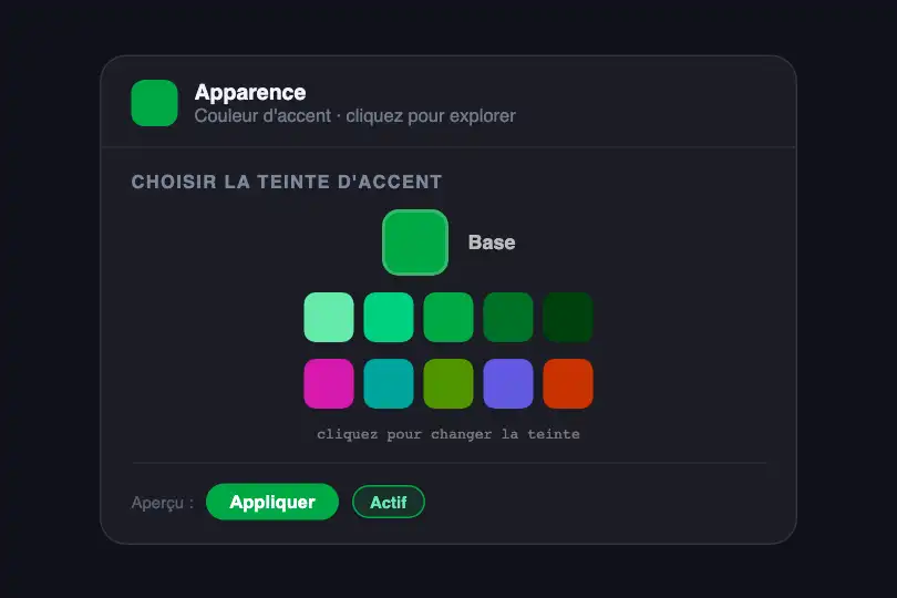 Panneau de paramètres — sélecteur de couleur d'accent — Relative Color Palette exemple 2