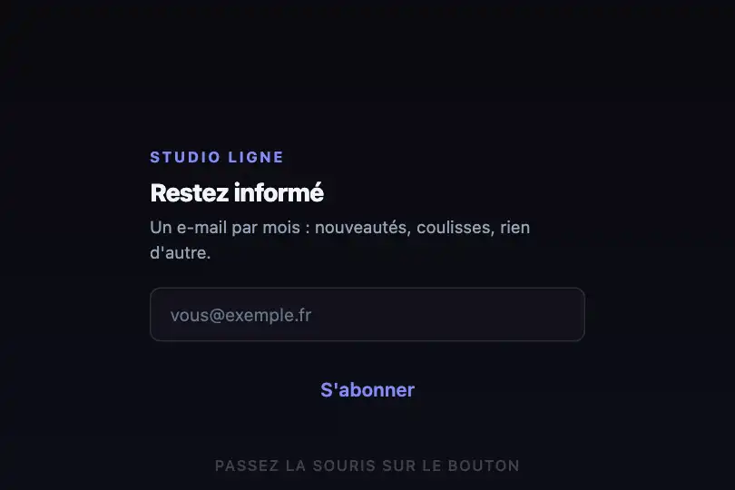 S'abonner — bloc newsletter d'un pied de page — Border Draw exemple 1