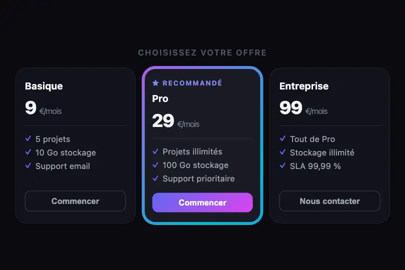 Grille tarifaire — Plan recommandé mis en exergue — Animated Border exemple 1