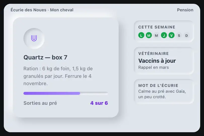Fiche d'un cheval en pension — appli d'une écurie — Neu Card exemple 3