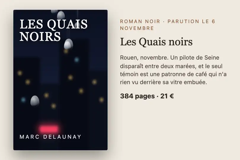 Couverture d'un polar urbain — page d'une maison d'édition — Rain on Glass exemple 2