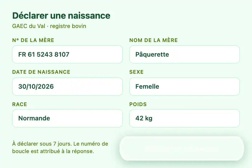Déclarer la naissance d'un veau — appli de traçabilité d'un éleveur — Button Morph exemple 3