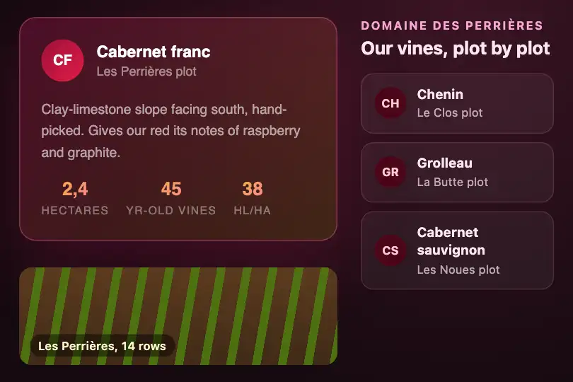 Grape variety card — the "Our vines" page of a wine estate — Card Morph example 1