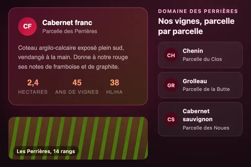Carte d'un cépage — page « Nos vignes » d'un domaine viticole — Card Morph exemple 1