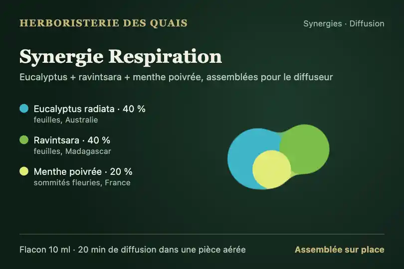 Synergie d'huiles essentielles — fiche d'une herboristerie — Liquid Morph exemple 2