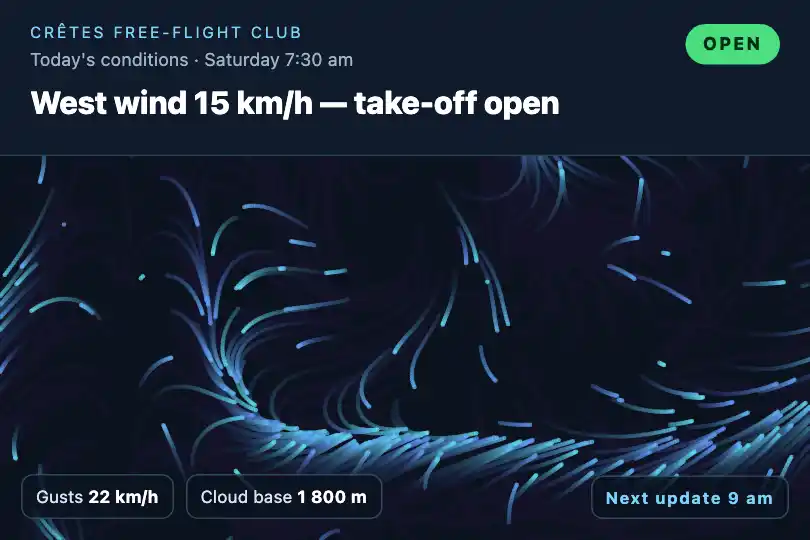 Today's conditions — a paragliding club's page — Generative Flow Field example 1