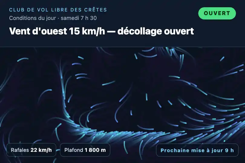 Conditions du jour — page d'un club de parapente — Generative Flow Field exemple 1