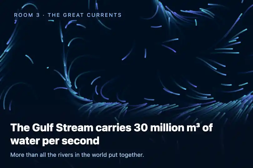 The great ocean currents — a wall screen in a maritime museum — Generative Flow Field example 2