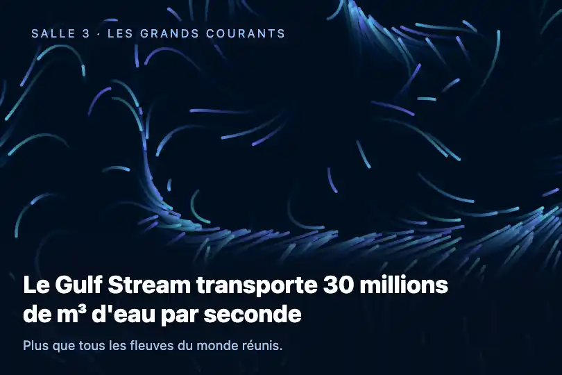 Les grands courants marins — écran mural d'un musée de la mer — Generative Flow Field exemple 2