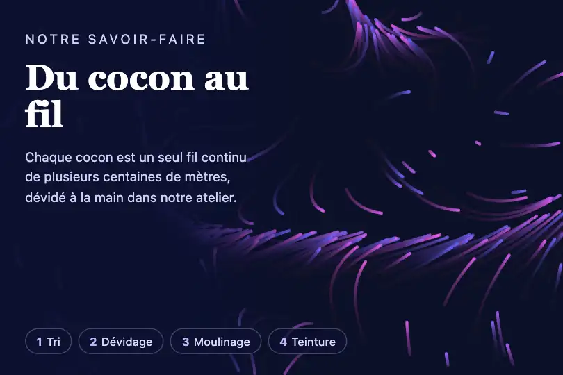 Du cocon au fil — page « Savoir-faire » d'une filature de soie — Generative Flow Field exemple 3