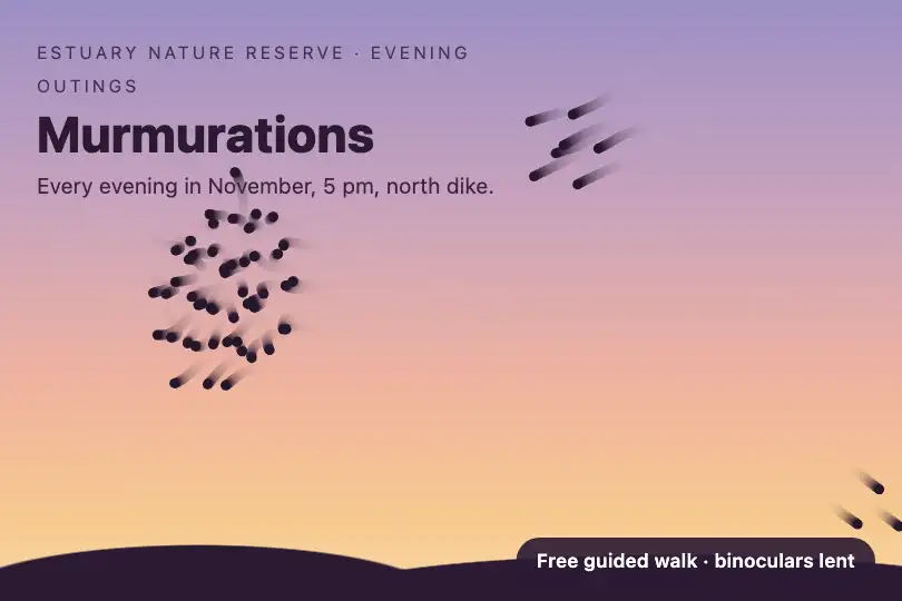 Starling murmurations — the "Evening outings" page of a bird reserve — Swarm Intelligence example 1