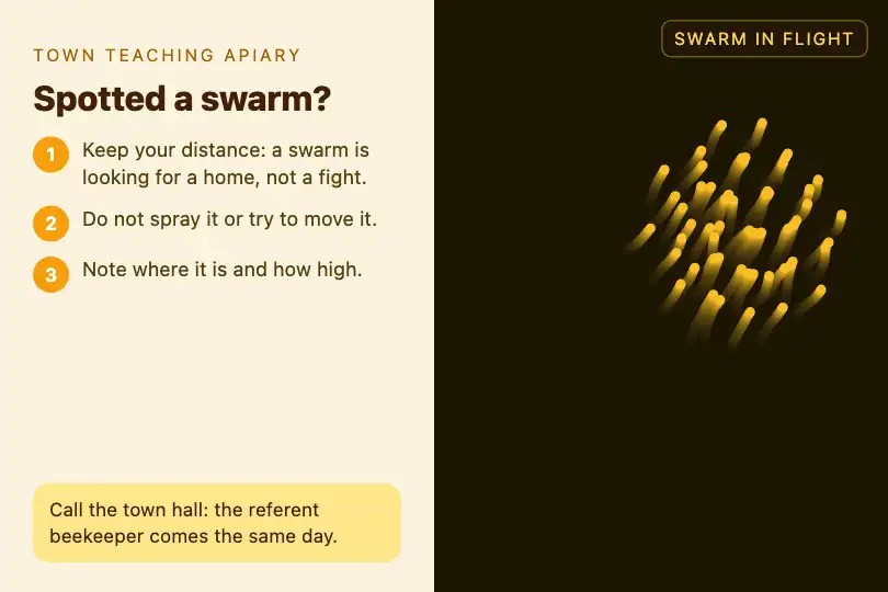 Spring swarming — a town's teaching apiary page — Swarm Intelligence example 2