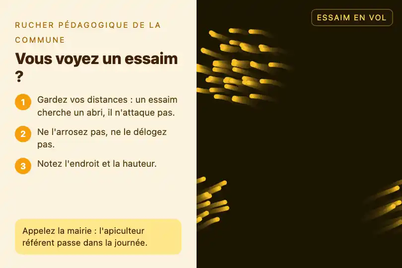 L'essaimage au printemps — page du rucher pédagogique d'une commune — Swarm Intelligence exemple 2