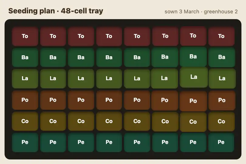 A 48-cell seed tray — a market gardener's sowing planner — Predictive Grid Morph example 1