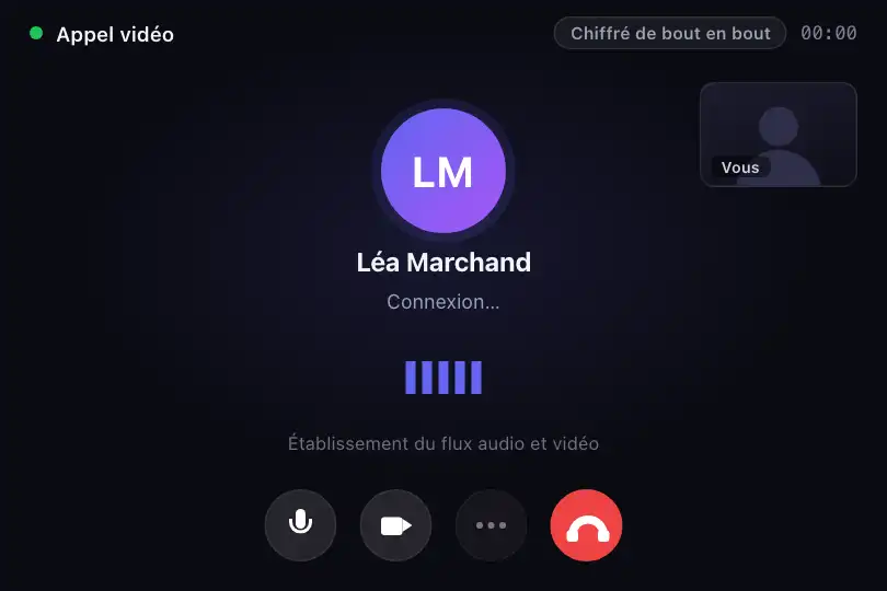 Appel vidéo — connexion au correspondant, le temps d'établir le flux — Wave Bars exemple 1