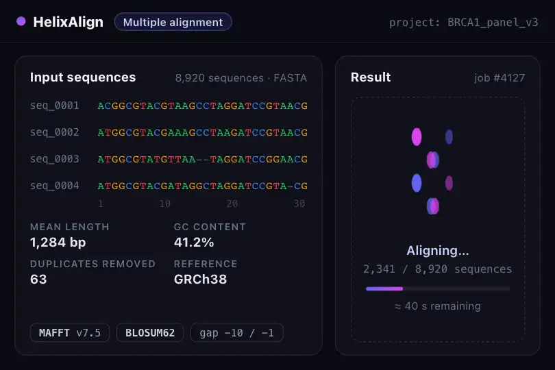 Sequence alignment in progress — bioinformatics tool — DNA Helix example 1