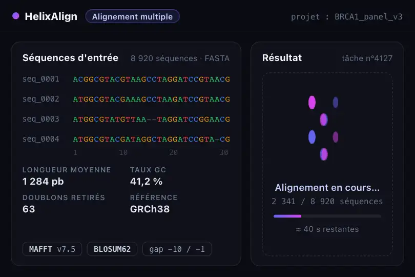 Alignement de séquence en cours — outil de bioinformatique — DNA Helix exemple 1