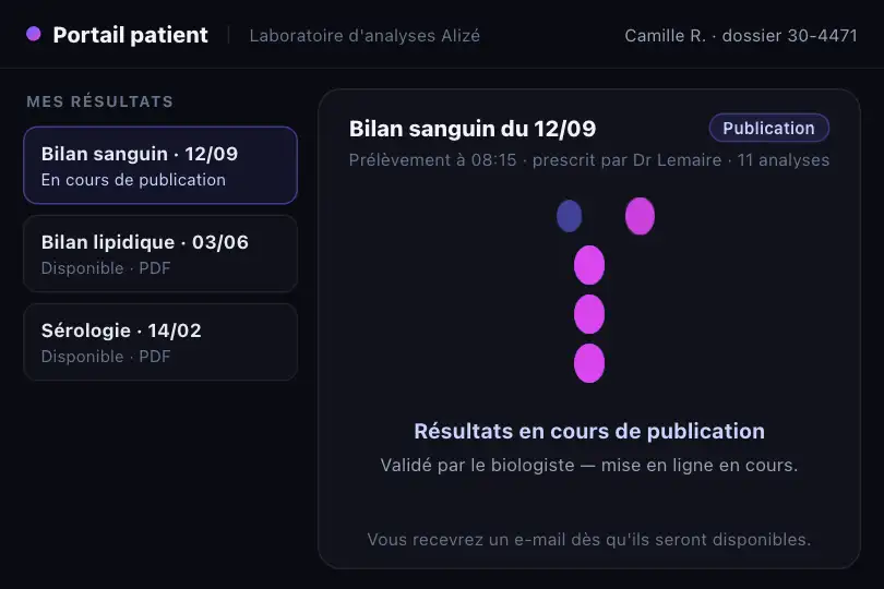 Portail patient — bilan sanguin en cours de publication — DNA Helix exemple 2
