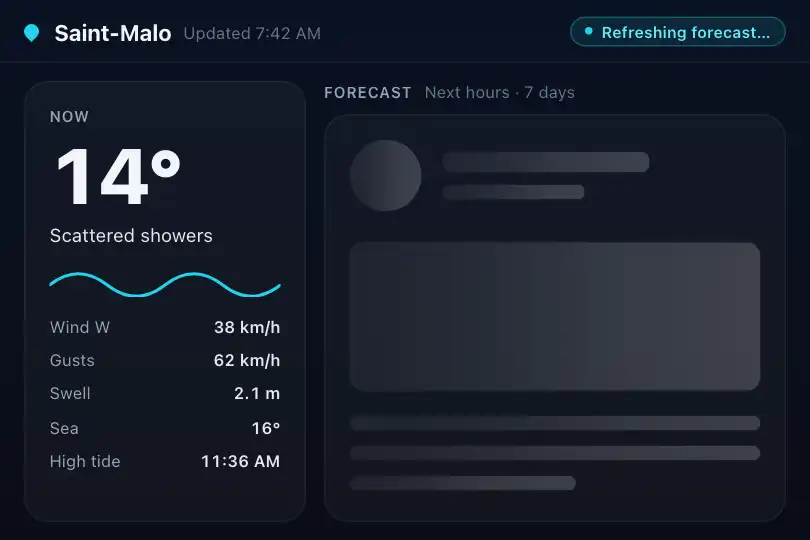 Weather app — forecast being refreshed — Wave Shimmer example 1