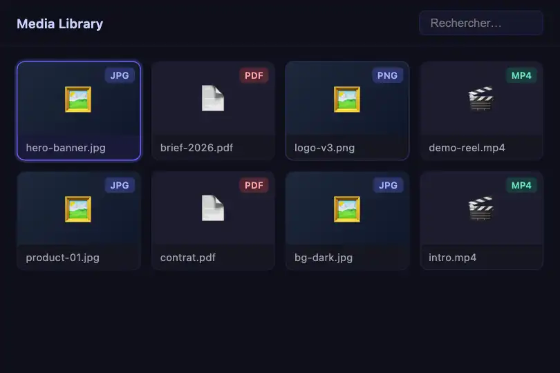 Asset manager — Right-click on a file thumbnail — Context Menu example 3