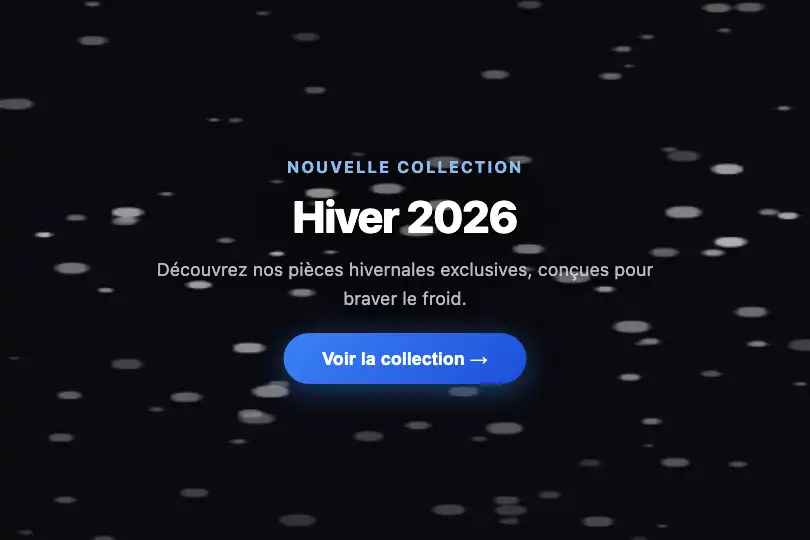 Hero / Landing — Boutique ou campagne hivernale — Snow Fall exemple 1