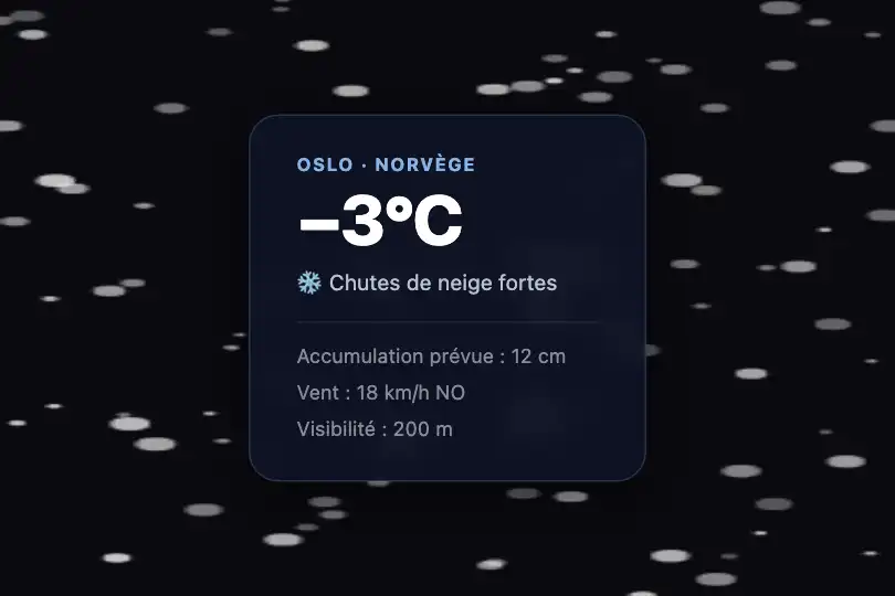 Composant produit — Widget météo ou alerte conditions hivernales — Snow Fall exemple 2