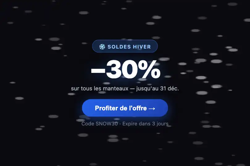 Micro-interaction de conversion — Offre promotionnelle saisonnière — Snow Fall exemple 3