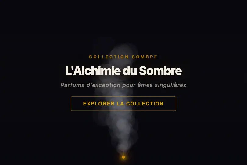 Hero / Landing — Ambiance dark-brand — Smoke exemple 1