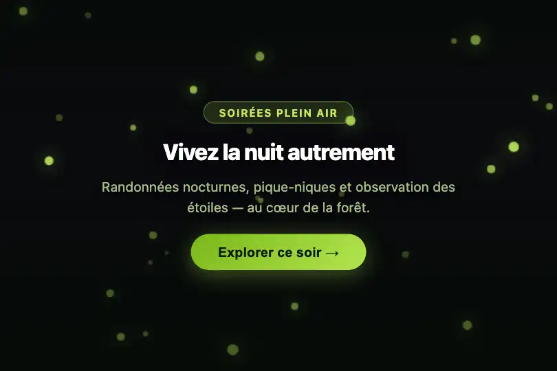 Hero / Landing — Soirée plein air — Fireflies exemple 1