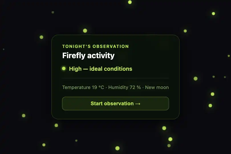 Product component — Nocturnal biodiversity widget — Fireflies example 2