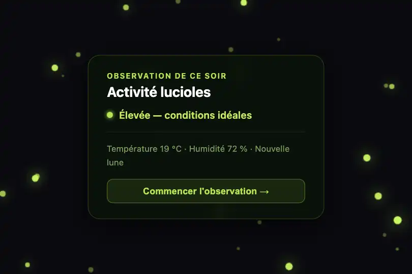 Composant produit — Widget biodiversité nocturne — Fireflies exemple 2