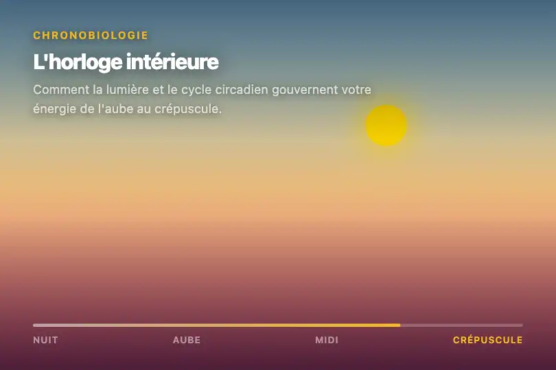 Page éducative — Timeline du rythme circadien — Day/Night Cycle exemple 2